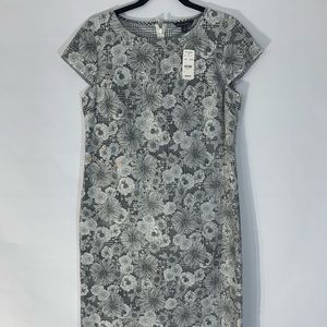 Brooks Brothers Shift Dress Cotton